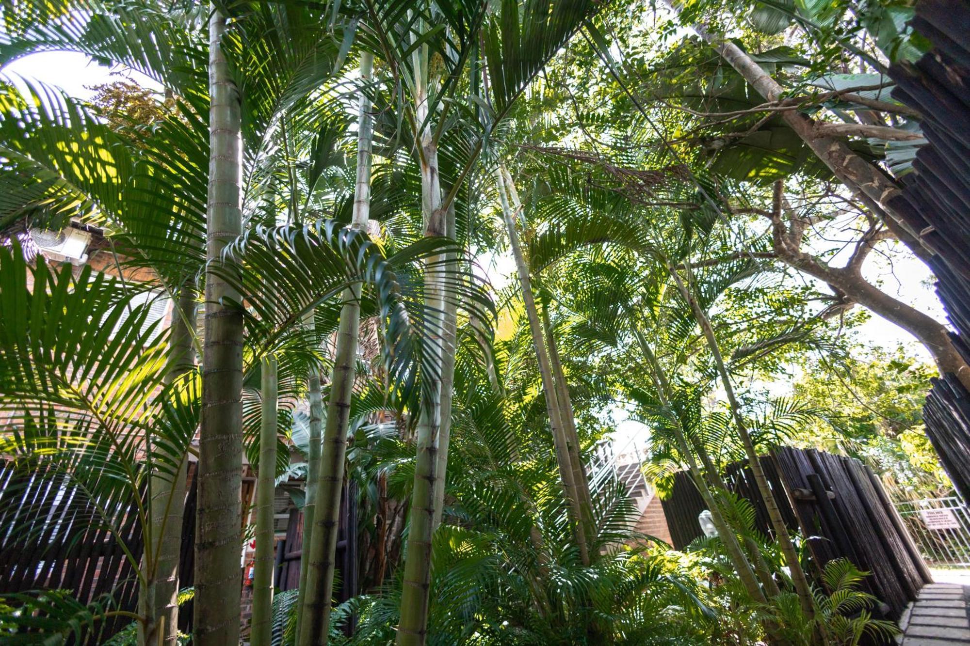 Little Eden St Lucia Apartment Exterior photo